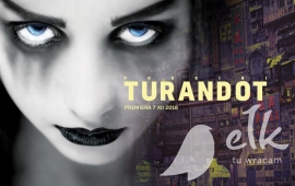 Stop The Culture Of Opera: Turandot