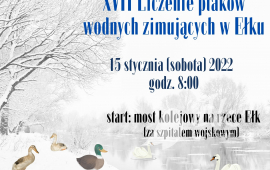 XVII Counting of waterfowl wintering in Ełk
