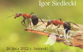 NOT ONLY BLACK AND RED, OR THE SURPRISING VARIETY OF POLISH ANTS